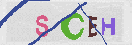 Cod de securitate(imagine)